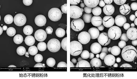 原始电镜照片